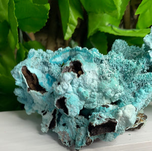 CHRYSOCOLLA PSEDOMORPH