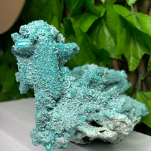 Load image into Gallery viewer, CHRYSOCOLLA PSEDOMORPH
