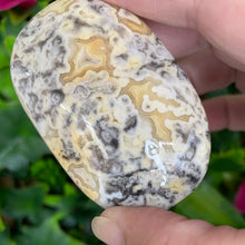 Load image into Gallery viewer, CRAZY LACE AGATE PALM STONE
