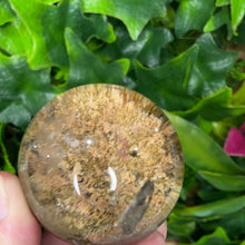 Load image into Gallery viewer, GARDEN QUARTZ SPHERE
