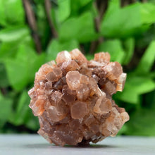 Load image into Gallery viewer, ARAGONITE SPUTNIK

