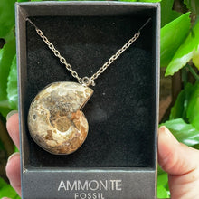 Load image into Gallery viewer, AMMONITE PENDANT
