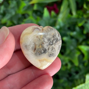 HEART CARVING - CRAZY LACE AGATE