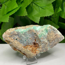 Load image into Gallery viewer, CHRYSOPRASE ROUGH STONE
