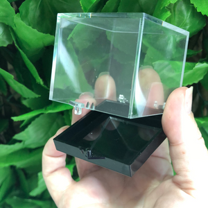 SPECIMEN DISPLAY BOX